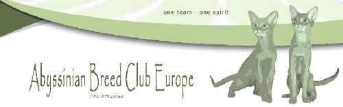 Abyssinian Breed Club Europe